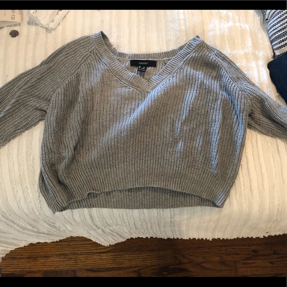 Forever 21 Cropped Sweater